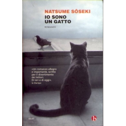Natsume Soseki - Io sono un gatto
